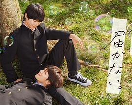 网址优化选择乐云seo十年